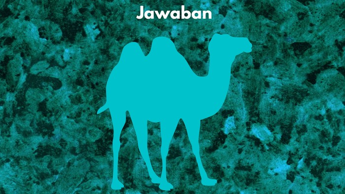 Asah otak detikHealth.