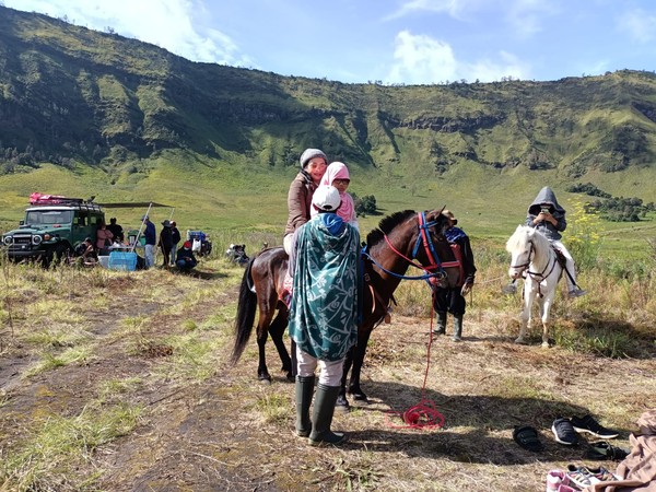 detikcom mendapat kesempatan mencicipi sensasi piknik di Bukit Teletubbies. Tempat ini cocok digunakan untuk me-refresh otak sejenak. Wisatawan dipastikan betah berlama-lama menikmati pesona alam pegunungan Bromo. detikcom mendapat kesempatan mencicipi sensasi piknik di Bukit Teletubbies. Tempat ini cocok digunakan untuk me-refresh otak sejenak. Wisatawan dipastikan betah berlama-lama menikmati pesona alam pegunungan Bromo.
