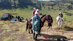 Piknik Lesehan di Gunung Bromo, Kini Ada Paketnya