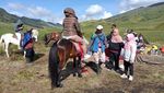 Piknik Lesehan di Gunung Bromo, Kini Ada Paketnya