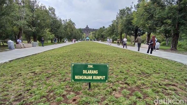 Pemandangan berbeda pun bisa dilihat traveler. Sekarang jadi tambah bagus hingga membuat pengunjung lebih nyaman saat berwisata di Candi Borobudur. (Eko Susanto/detikTravel) Pemandangan berbeda pun bisa dilihat traveler. Sekarang jadi tambah bagus hingga membuat pengunjung lebih nyaman saat berwisata di Candi Borobudur. (Eko Susanto/detikTravel)
