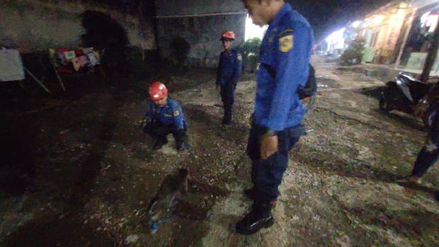 Damkar Kabupaten Bogor mengevakuasi monyet di Parakansalak, Kemang yang sudah beberapa pekan berkeliaran di sekitar permukiman. (dok Istimewa)