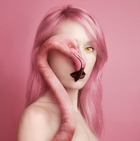 fotoinet foto keren perpaduan model dan hewan