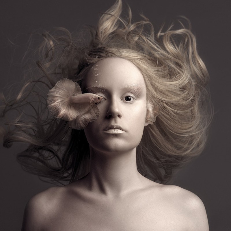 fotoinet foto keren perpaduan model dan hewan