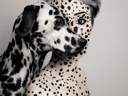 Karya Keren Fotografer Bikin Potret Wajah Setengah Manusia dan Hewan