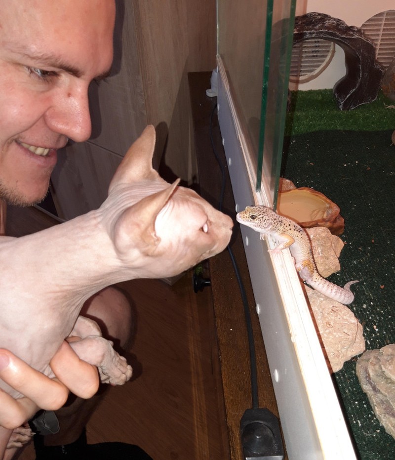 fotoinet hewan beda jenis bersahabat