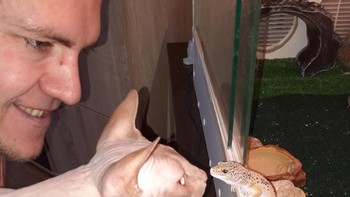 Si kucing dan ular pun bisa akur. Foto: Brightside