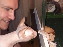 Potret Gemas Bukti Hewan Beda Jenis Bisa Bersahabat