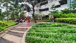 Gempa Goyang Jakarta, Warga Berhamburan ke Luar Gedung