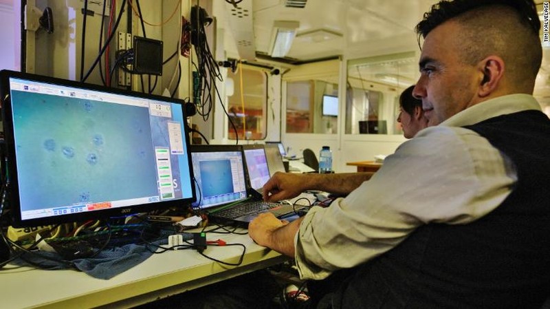 Ikan aneh icefish di antartika