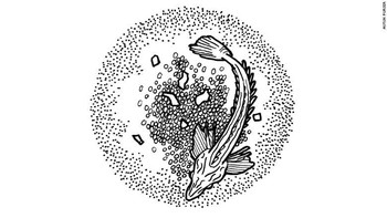 “Saya tidak pernah melihat hal semacam ini dalam 15 tahun lamanya menjadi peneliti lautan. Setelah itu, kami menghubungi pakar yang mengetahui ikan semacam ini. Mereka bilang ikan ini cukup unik,” tambah Purser. Foto: CNN