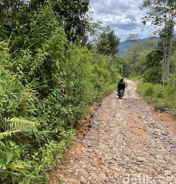 Jadi, selama perjalanan ke Kampung Adat Ciptagelar, traveler akan disambut luasnya cakrawala perbukitan. Perjalanan ke destinasi ini mengingatkan kami akan lanskap dan jalan ke Pegunungan Arfak, Papua Barat. Jadi, selama perjalanan ke Kampung Adat Ciptagelar, traveler akan disambut luasnya cakrawala perbukitan. Perjalanan ke destinasi ini mengingatkan kami akan lanskap dan jalan ke Pegunungan Arfak, Papua Barat.