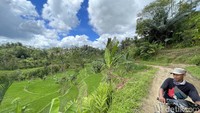 Kampung Adat Ciptagelar sendiri berada di kawasan Taman Nasional Gunung Halimun Salak. Lokasinya persis di perbatasan Banten