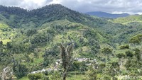 Karena jalan ke Kampung Adat Ciptagelar tidak dilengkapi saluran air atau selokan. Jadi, di saat hujan air mengalir di jalan dan merusak aspalnya.