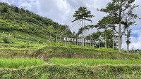 Hamparan sawah dan perbukitan menghijau mengelilingi Kampung Adat Ciptagelar.