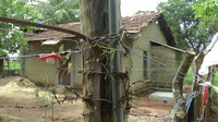 Pagar listrik yang didirikan secara ilegal dan perangkap yang dipasang untuk mencegah gajah liar memasuki pemukiman manusia terlihat di Ashraf Nagar di distrik Ampara. Jumlah gajah telah berkurang dari sekitar 14.000 pada abad ke-19 menjadi 6.000 pada tahun 2011, menurut sensus gajah pertama di negara itu. Mereka semakin rentan karena hilangnya dan degradasi habitat alami mereka. Banyak yang menjelajah lebih dekat ke permukiman manusia untuk mencari makanan, dan beberapa dibunuh oleh pemburu liar atau petani yang marah karena kerusakan tanaman mereka.