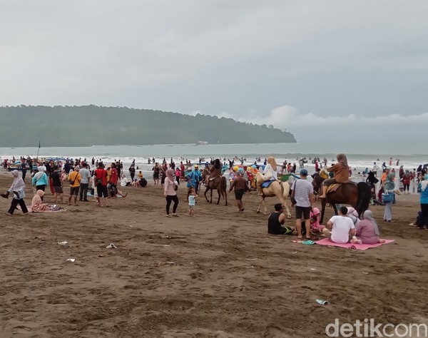 Gempa Banten berkekuatan M 6,7 sempat membuat aktivitas berenang, berkuda, dan wide game yang diikuti sejumlah wisatawan terhenti. (Aldi Nur Fadillah/detikcom) Gempa Banten berkekuatan M 6,7 sempat membuat aktivitas berenang, berkuda, dan wide game yang diikuti sejumlah wisatawan terhenti. (Aldi Nur Fadillah/detikcom)