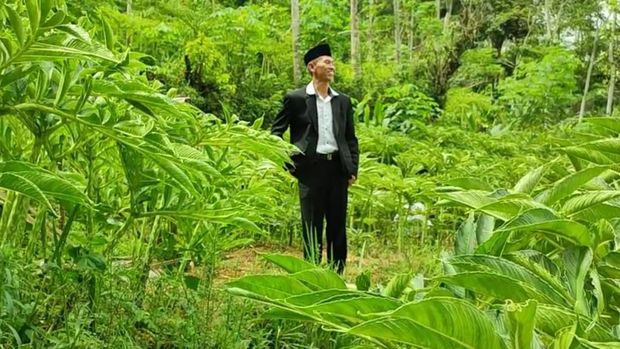 Porang Jadi Komoditas Andalan Penopang Ekonomi Ponpes di Ponorogo