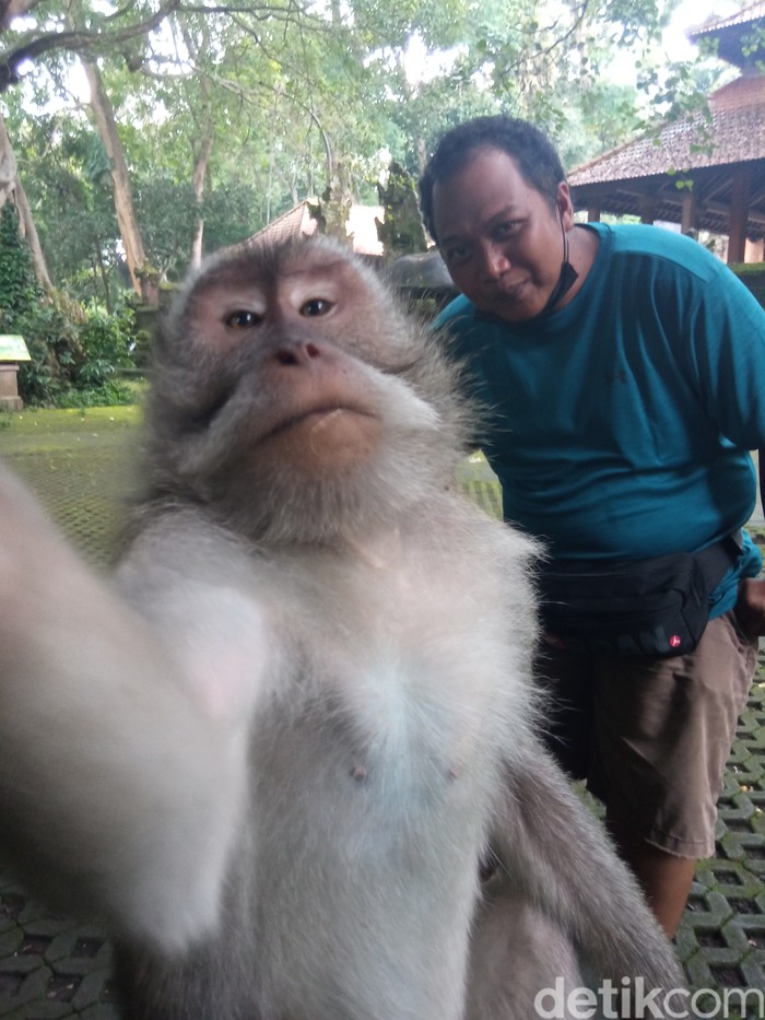 Sacred Monkey Forest Sanctuary di Ubud
