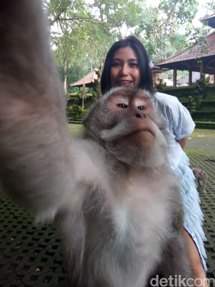 Sacred Monkey Forest Sanctuary di Ubud
