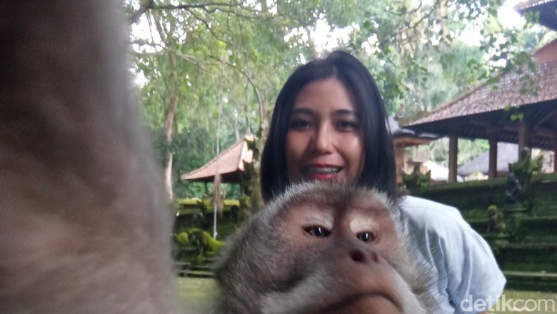 Sacred Monkey Forest Sanctuary di Ubud Sacred Monkey Forest Sanctuary di Ubud