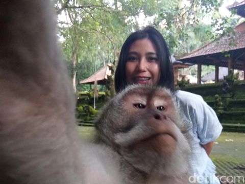 Sacred Monkey Forest Sanctuary di Ubud