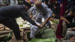 Sedekah Bumi Arak Kerbau Bule di Bekasi
