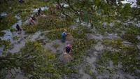 Sejumlah warga berburu ikan di danau yang berada di kawasan Panbari, India, di tengah gelaran festival Bhogali Bihu, Kamis (13/1/2022), waktu setempat.