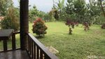 Asyik Banget Ngopi di Lereng Gunung Gede Pangrango