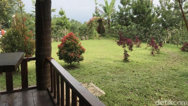 Asyiknya, kedai kopi ini memiliki area dan ruang terbuka hijau. Dijamin traveler yang datang betah berlama-lama di sini. Asyiknya, kedai kopi ini memiliki area dan ruang terbuka hijau. Dijamin traveler yang datang betah berlama-lama di sini.Â