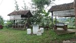 Asyik Banget Ngopi di Lereng Gunung Gede Pangrango