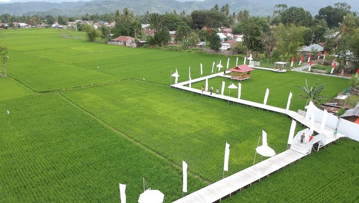 Foto udara Desa Wisata Sejahtera di Bulango Selatan, Kabupaten Bone Bolango, Gorontalo, Sabtu (15/1/2022). Objek wisata baru tersebut menyajikan suasana dan pemandangan persawahan yang dilengkapi dengan kolam pancing, gazebo, serta kuliner lokal bagi wisatawan. ANTARA FOTO/Adiwinata Solihin/hp.