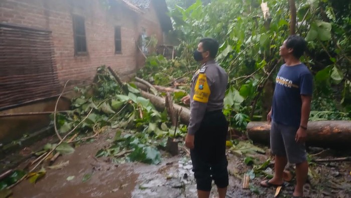 Hujan Angin di Ponorogo, 7 Rumah Tertimpa Pohon dan Antena Radio