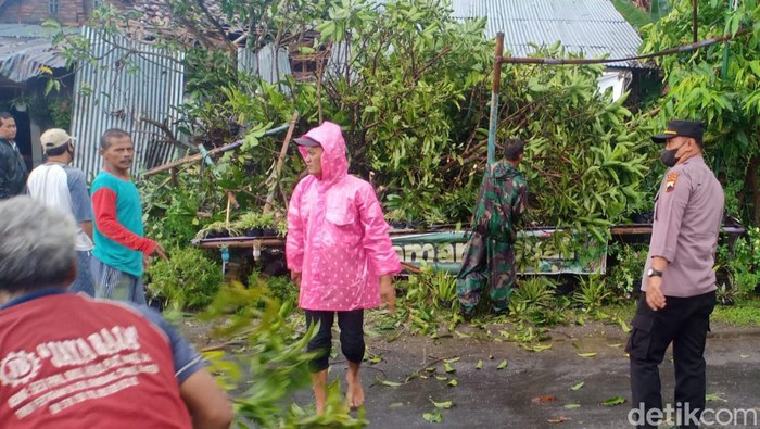 Hujan es disertai angin kencang berdampak pohon tumbang di Kecamatan Trucuk, Klaten, Sabtu (15/1/2022).