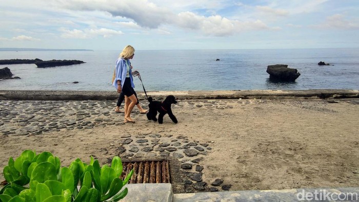 Ilustrasi Wisatawan di Pantai Bali saat Pandemi. Ada yang meditasi di pantai, bermain dengan hewan peliharaannya, dll