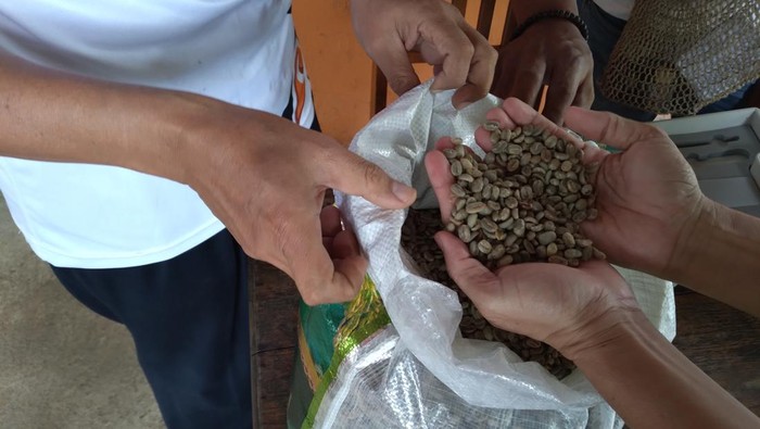 Kopi Papua