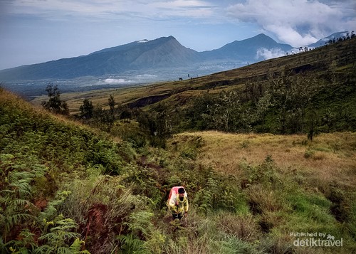 Di kejauhan view bukit Pergasingan tampak begitu cantik