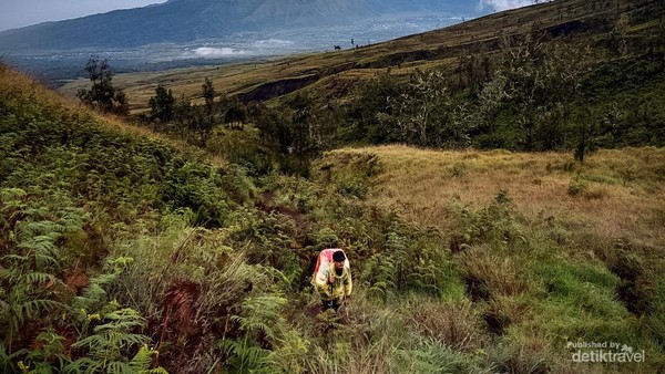 Begitu Indah Jalur Pendakian Gunung Rinjani, Impian Para Pendaki