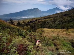 Bukit Pergasingan Lombok dan 5 Daya Tariknya