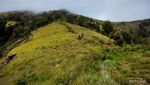 Begitu Indah Jalur Pendakian Gunung Rinjani, Impian Para Pendaki
