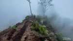 Begitu Indah Jalur Pendakian Gunung Rinjani, Impian Para Pendaki