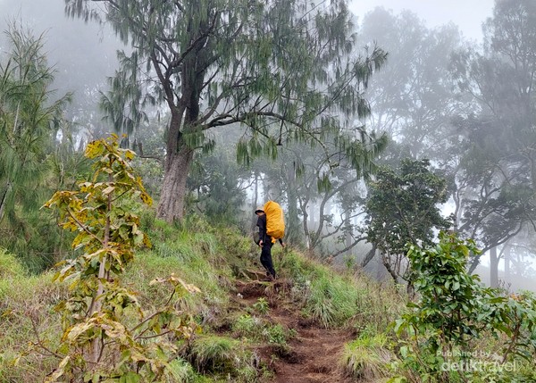 Jalur pendakian Rinjani terkenal dengan bukit Tujuh Penyesalannya siapkan fisik dan mental yg kuat ya sahabat traveler