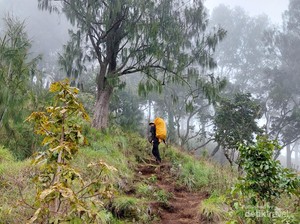 Perhatian! Buang Sampah Sembarangan di Gunung Rinjani Terancam Blacklist