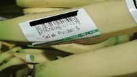 Berniat ingin membeli pisang, jika mengambil pisang yang ini pelanggan akan membayar untuk salak. Salak Pondoh justru tertempel pada sebuah pisang. Foto: Instagram/cursedcorner