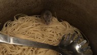 Hiii Jorok! Netizen Ini Temukan Tikus Hidup di Wadah Mie