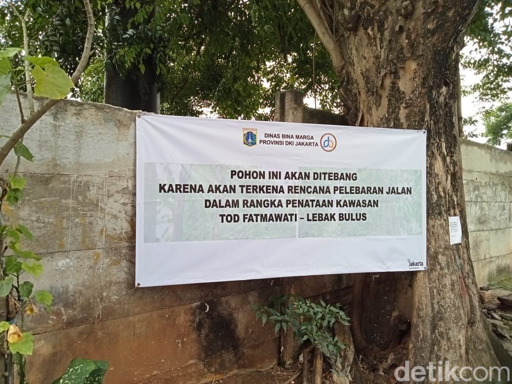 Pepohonan yang terancam ditebang demi pelebaran jalan di Jl RS Fatmawati, Jaksel. (Anggi Muliawati/detikcom)