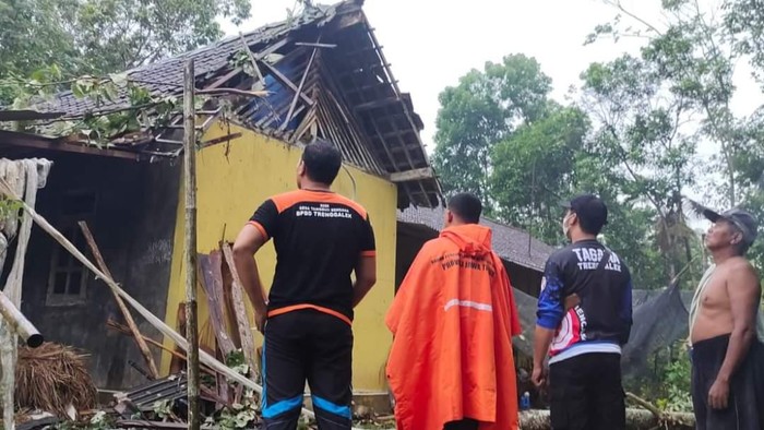 Pohon Tumbang Timpa Tiga Rumah Warga Trenggalek