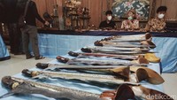 Keris berbagai pamor dan dapur itu dipajang di omah Patosaka di Jalan Sulawesi 14 Klaten.