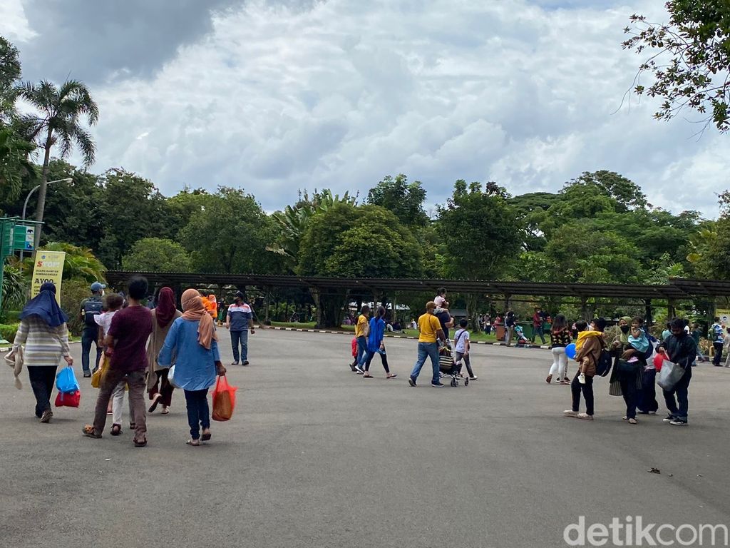 Suasana di Taman Margasatwa Ragunan, 15 Januari 2021. (Annisa Rizky Fadhila/detikcom)