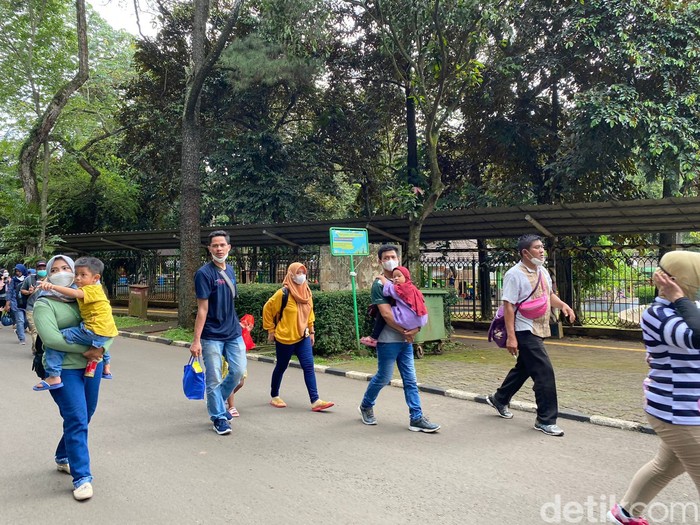 Suasana di Taman Margasatwa Ragunan, 15 Januari 2021. (Annisa Rizky Fadhila/detikcom)